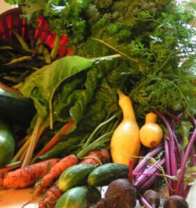 Five Garden Questions To Ask Before You Plant Image